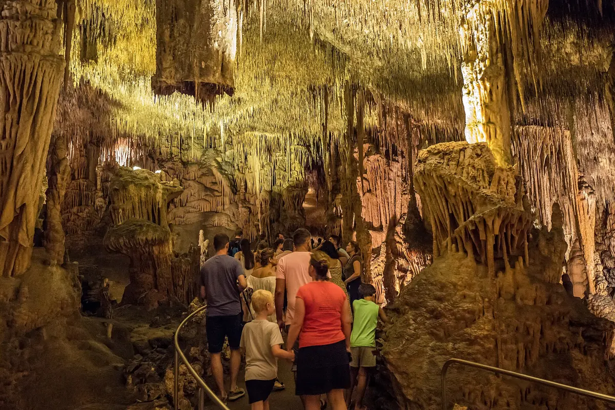 Visitors walking along a handrailed path between lit columns and curtains of stalactites in the Drach caves.